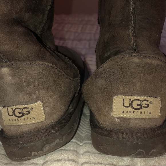 Brown Ugg boots! - Picture 3 of 3